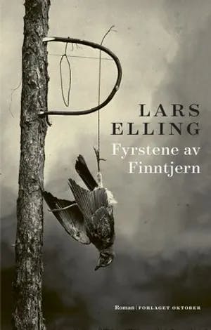 Omslag: "Fyrstene av Finntjern : roman" av Lars Elling